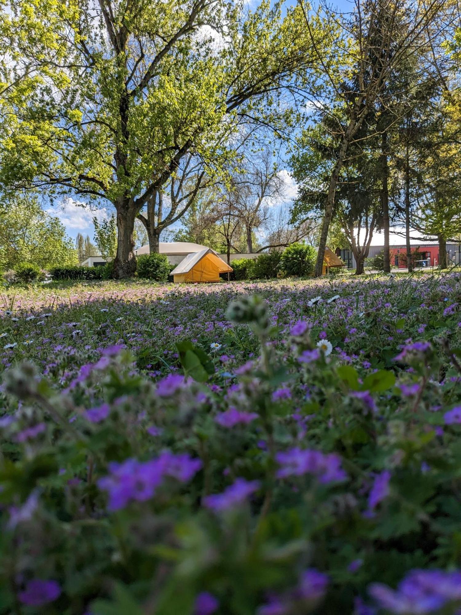 Camping Onlycamp Tours Val De Loire Сент-Авертен Екстер'єр фото